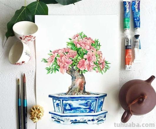 【色彩盆景临摹】用色彩绽放创意之花！涂画吧小编教你如何打造绚丽绘画作品！ 
