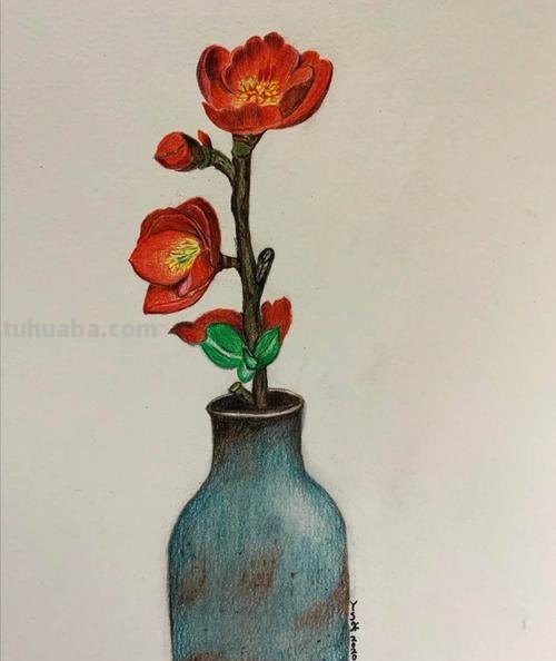 美术机构老师的彩铅画作品，细腻却不失单调