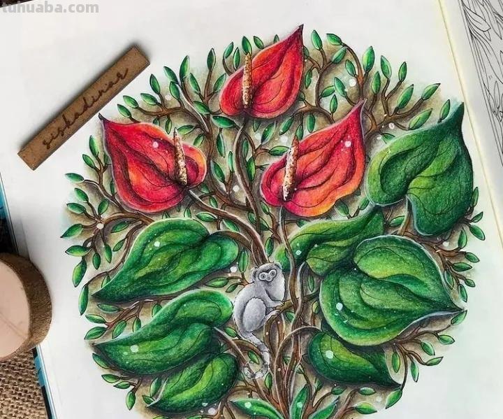 美术机构老师的彩铅画作品，细腻却不失单调