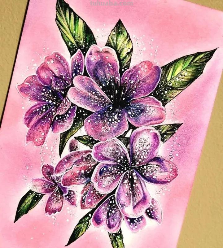 美术机构老师的彩铅画作品，细腻却不失单调