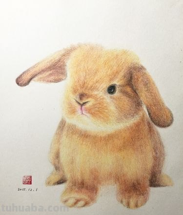 萌萌哒的彩铅画作品，每个美术老师看了都会爱上的