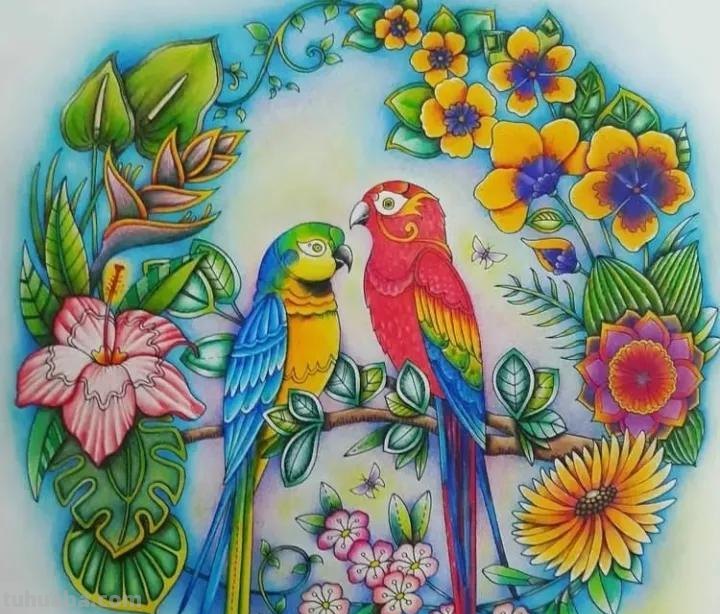 萌萌哒的彩铅画作品，每个美术老师看了都会爱上的