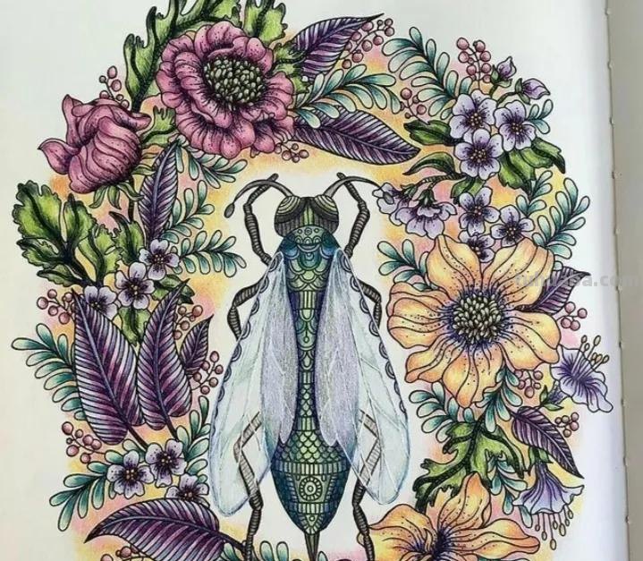 萌萌哒的彩铅画作品，每个美术老师看了都会爱上的