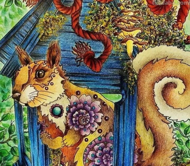萌萌哒的彩铅画作品，每个美术老师看了都会爱上的