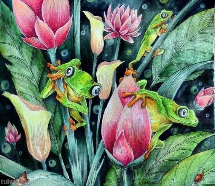 萌萌哒的彩铅画作品，每个美术老师看了都会爱上的