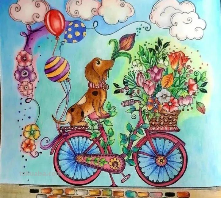 萌萌哒的彩铅画作品，每个美术老师看了都会爱上的