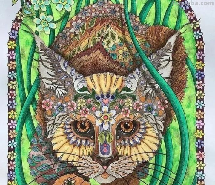 萌萌哒的彩铅画作品，每个美术老师看了都会爱上的