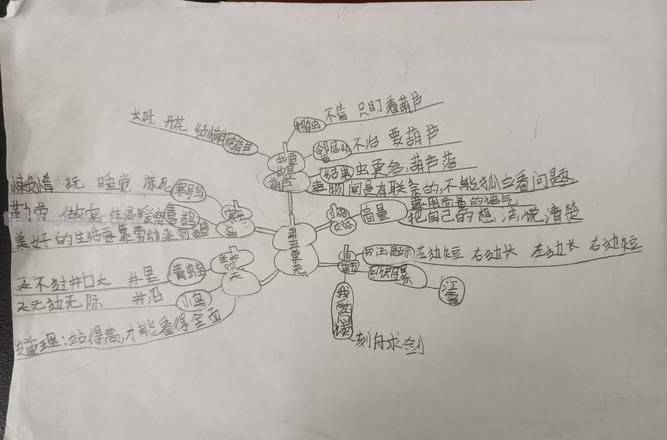 杜鹃的思维导图怎么画 植物导图怎么做？