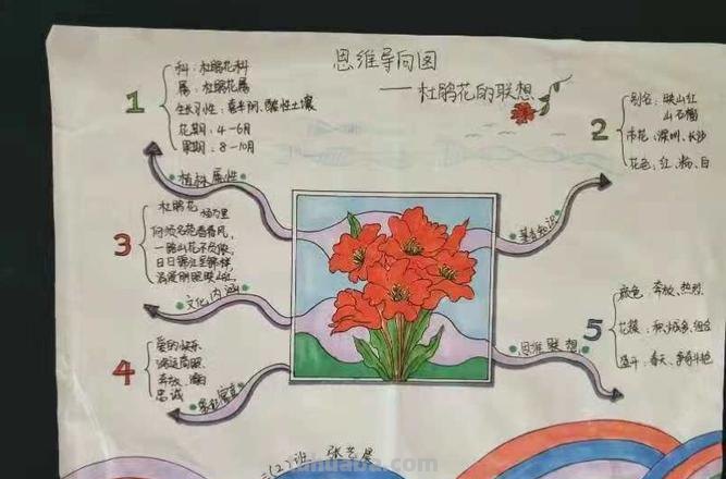 杜鹃的思维导图怎么画 植物导图怎么做？