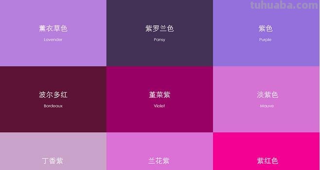 ：紫色衬布色彩的魅力与静物绘画中的运用 