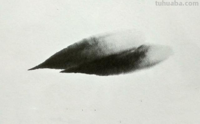 怎么画虾简笔画图画 教你五步画虾？