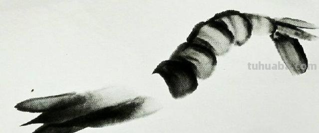 怎么画虾简笔画图画 教你五步画虾？