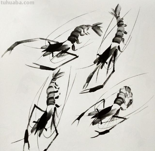 怎么画虾简笔画图画 教你五步画虾？
