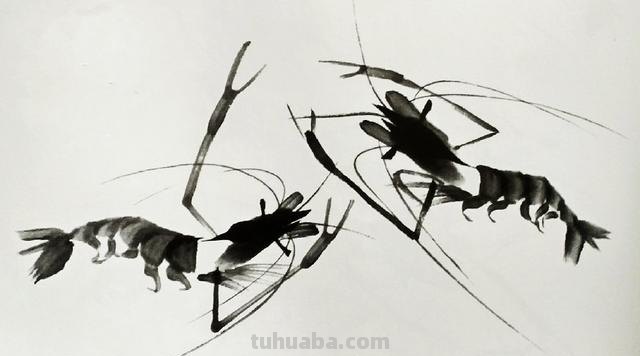 怎么画虾简笔画图画 教你五步画虾？