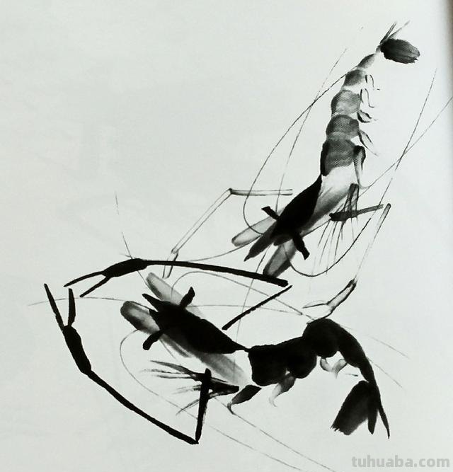 怎么画虾简笔画图画 教你五步画虾？
