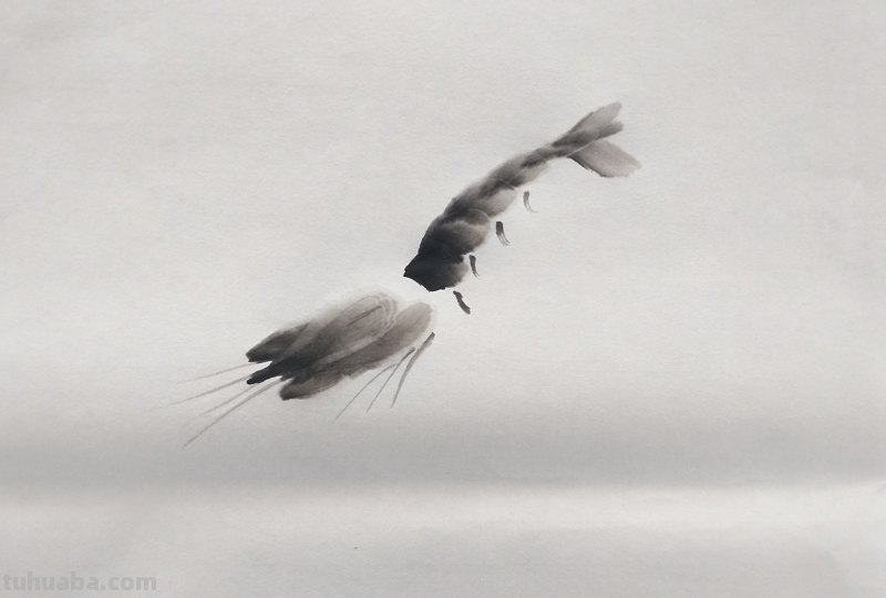 怎么画虾简笔画图画 教你五步画虾？