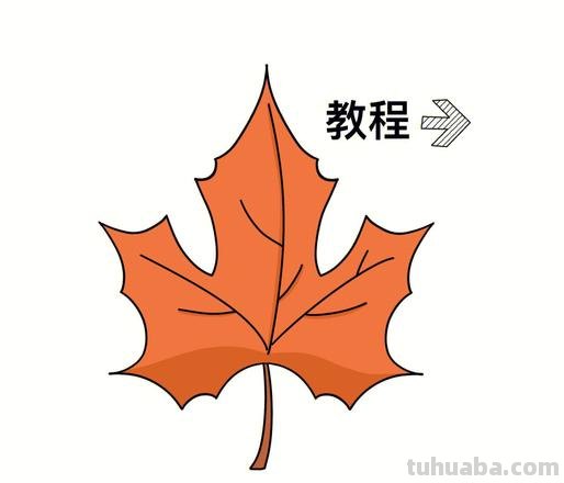 枫叶怎么画简笔画图画 如何简单画枫叶？