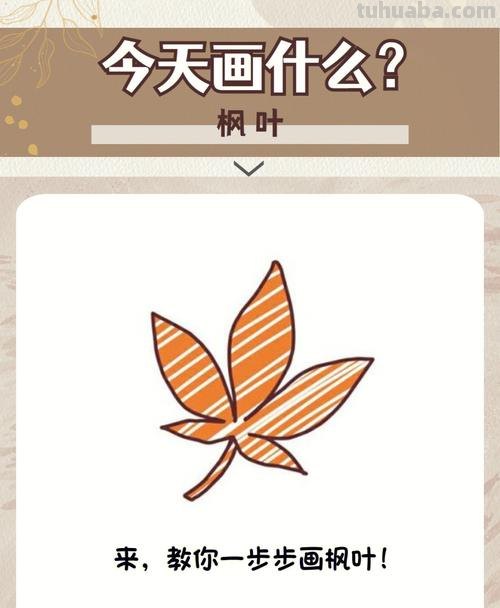 枫叶怎么画简笔画图画 如何简单画枫叶？
