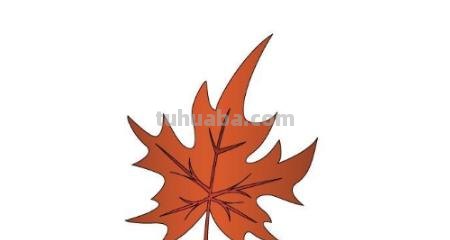 枫叶怎么画简笔画图画 如何简单画枫叶？