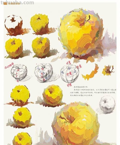 用色彩给水果增添魅力——色彩水果教程及色彩水果教程图片 