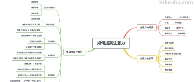 专注力思维导图怎么画 绘制思维导图有哪些注意事项？
