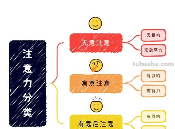 专注力思维导图怎么画 绘制思维导图有哪些注意事项？
