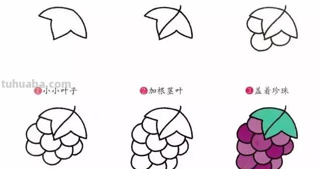 水果简笔画，一见钟情