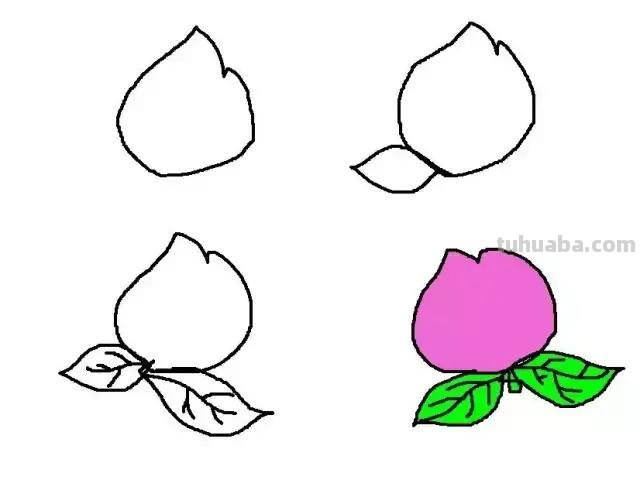 水果简笔画，一见钟情