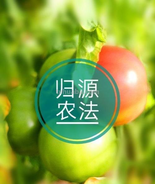 归源 归源是什么意思