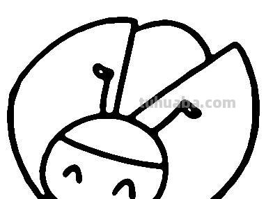 5种常见小动物简笔画，小朋友可以自己学会哦~