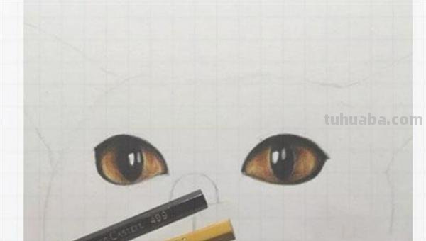 用彩铅画可爱图案怎么画 贺卡彩铅画教程？