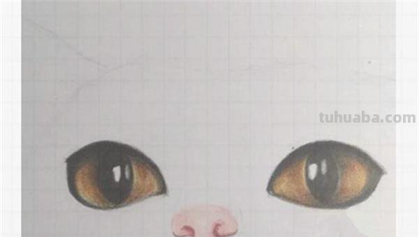 用彩铅画可爱图案怎么画 贺卡彩铅画教程？