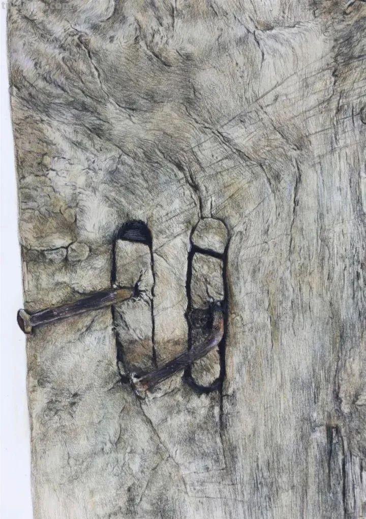 鲁美附中2021精微素描作品大汇总