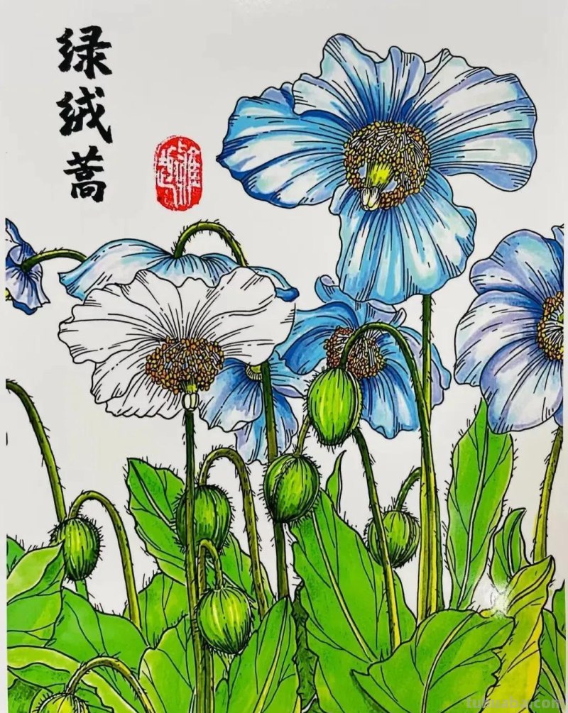 20张儿童美术范画，美到没有朋友呦！动漫、照片写生，张张精美！