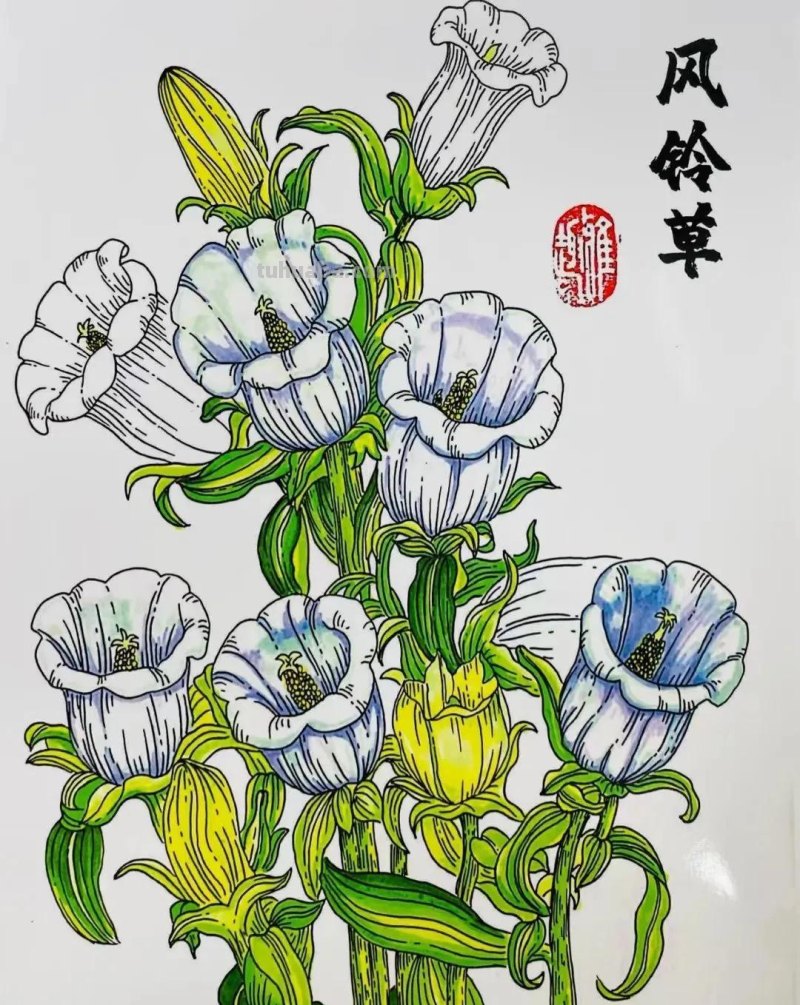 20张儿童美术范画，美到没有朋友呦！动漫、照片写生，张张精美！