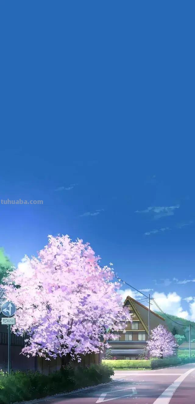 清新、唯美、治愈的宫崎骏动漫壁纸分享啦！