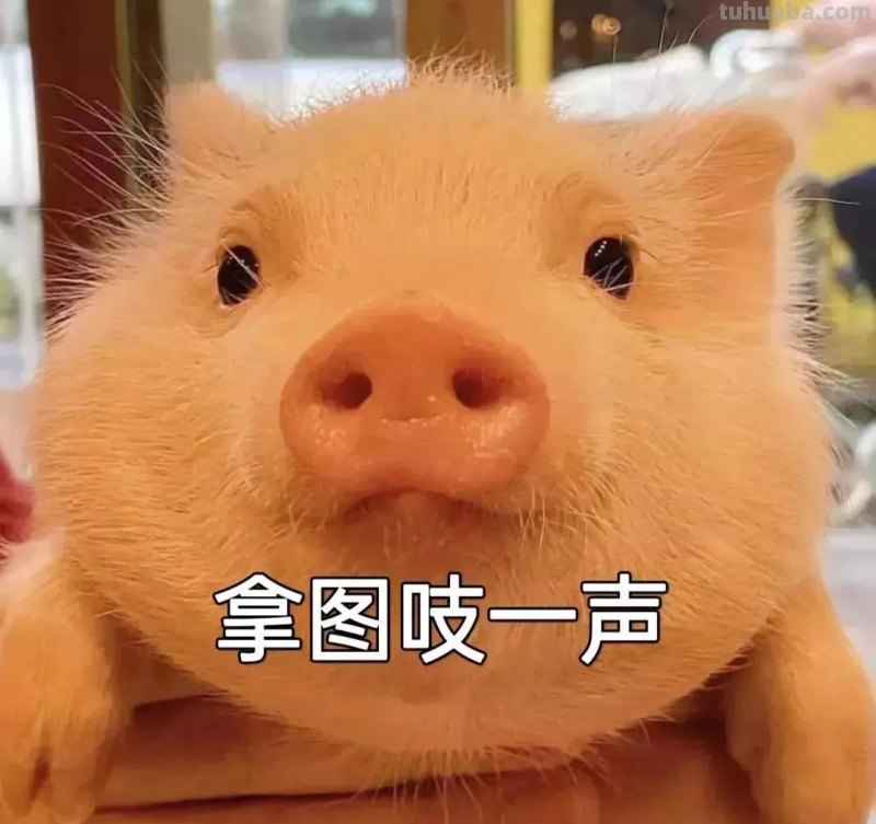 清新、唯美、治愈的宫崎骏动漫壁纸分享啦！