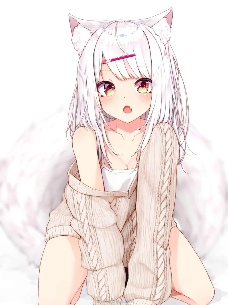 动漫美图17