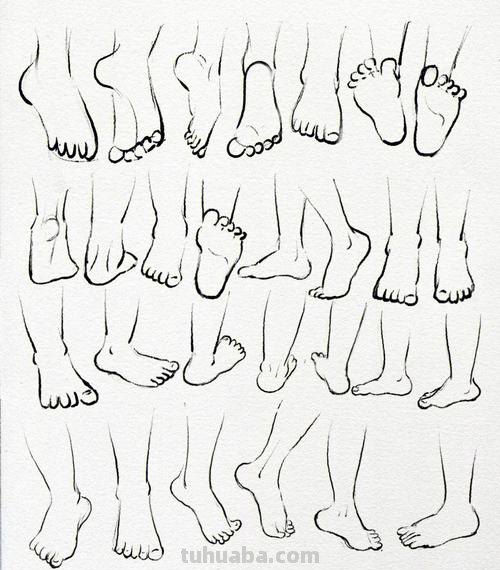 人体速写脚 初学者人体结构素描步骤？