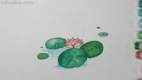 荷叶怎么画简笔画图片 怎样画荷花荷叶？
