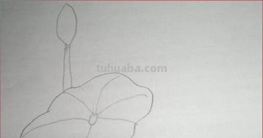荷叶怎么画简笔画图片 怎样画荷花荷叶？