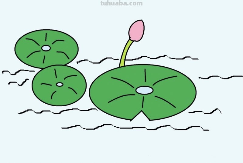 荷叶怎么画简笔画图片 怎样画荷花荷叶？