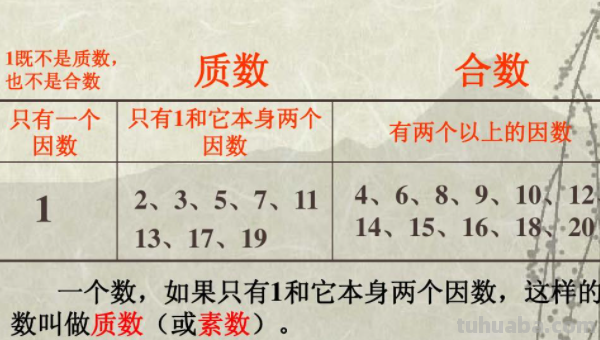 22代表什么意思