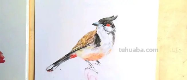 春天踏青的彩铅画怎么画 彩铅画自学教程风景？