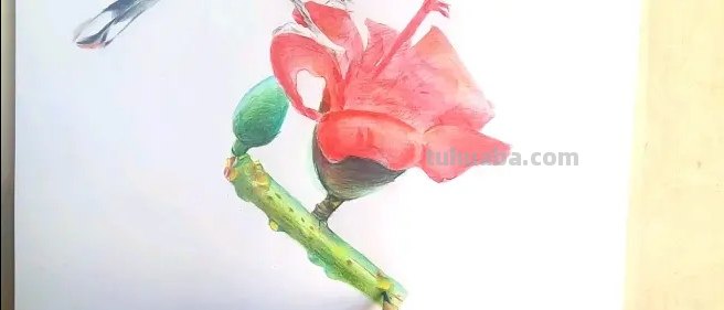 春天踏青的彩铅画怎么画 彩铅画自学教程风景？