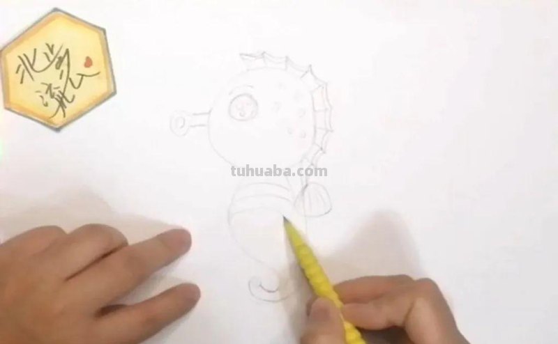 简单有趣的小海马简笔画，培养孩子爱画画的好习惯