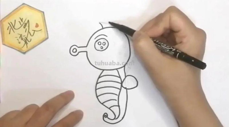 简单有趣的小海马简笔画，培养孩子爱画画的好习惯