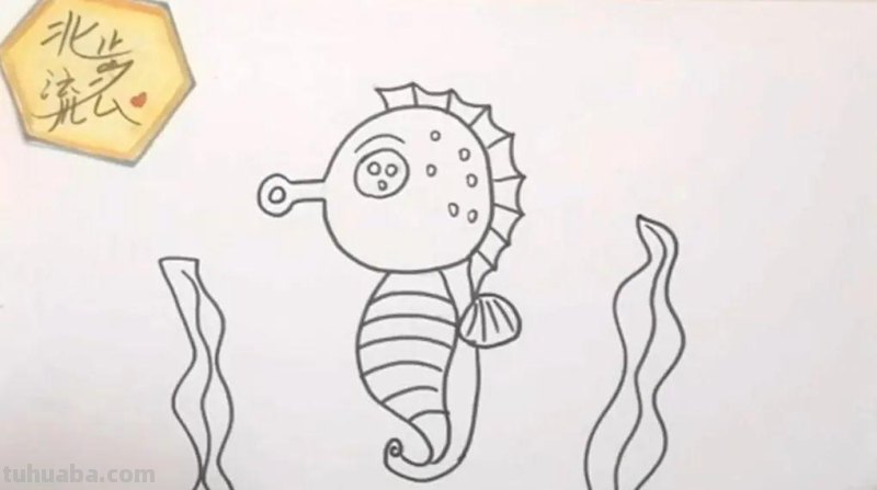 简单有趣的小海马简笔画，培养孩子爱画画的好习惯