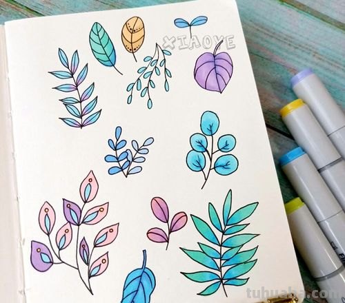 简单可爱的小清新植物简笔画素材，​​​​零基础也能学会哦
