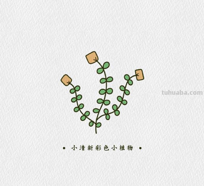 简单可爱的小清新植物简笔画素材，​​​​零基础也能学会哦